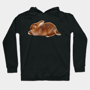 Brown Rabbit Hoodie